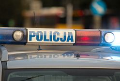 Karambol na DK7 w okolicach Nowego Dworu Gdańskiego