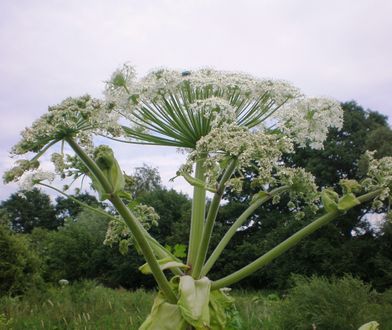 Ten quiz może uchronić cię przed kłopotami na wakacjach. Sprawdź się!