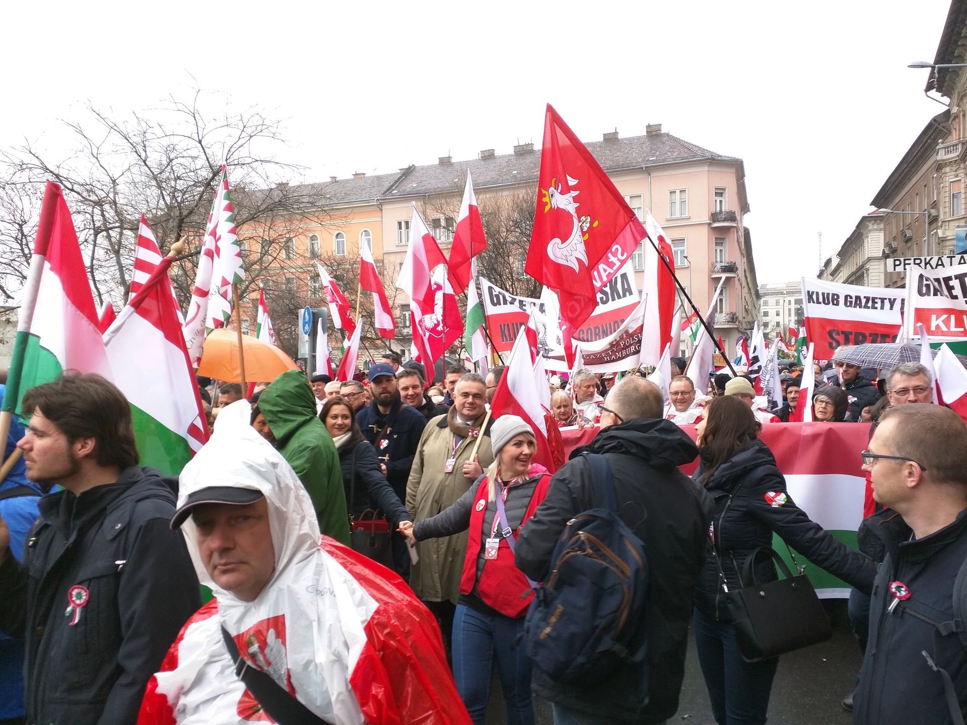 Marsz Pokoju w Budapeszcie. 
