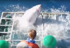 Nurek uwięziony w klatce z rekinem cudem uniknął śmierci