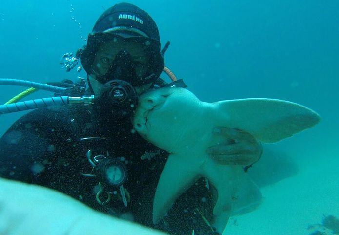7 lat temu zaprzyjaźnił się z rekinem