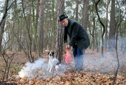 Janusz Korwin-Mikke odpalał petardy przy psie. Teraz może mieć kłopoty