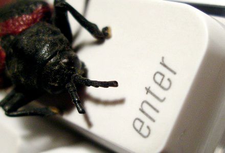 Trzy zagrożenia sieją postrach w sieci