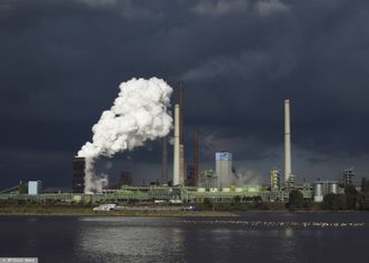 Niemiecki UOKiK nakłada gigantyczne kary. Wykrył zmowę cenową