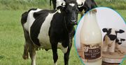 Mleko w zwrotnej, szklanej butelce wraca do łask. Wystarczy zapłacić kaucję
