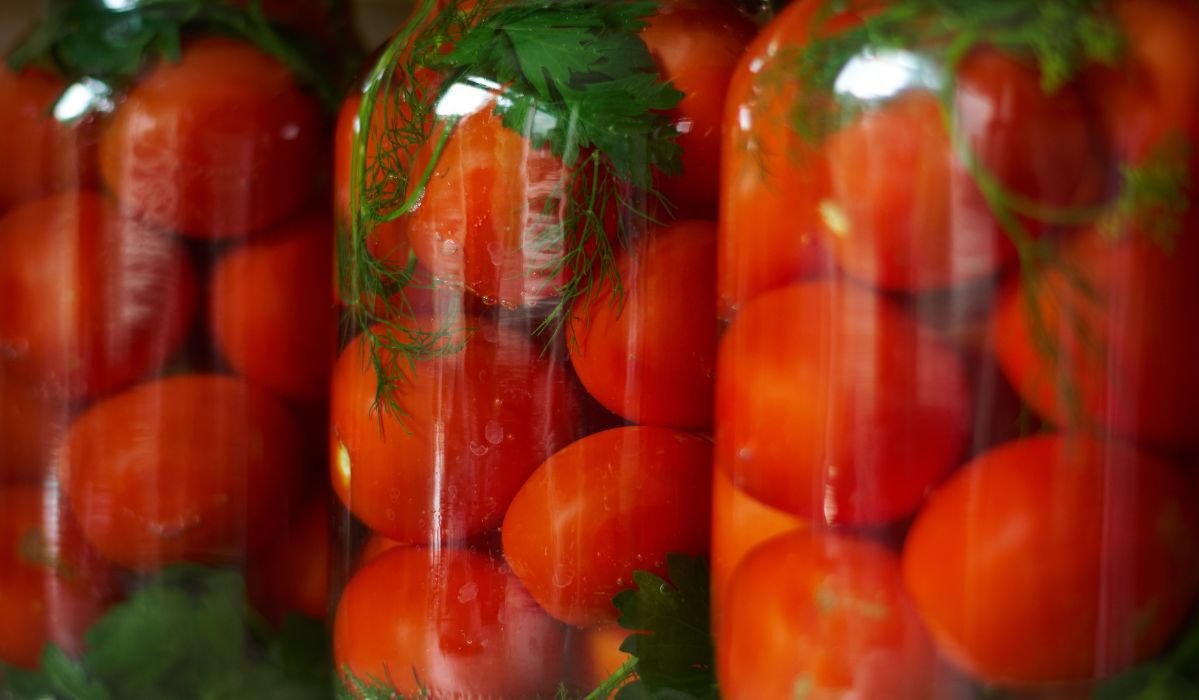 Pomidorowe pikle - Pyszności; Foto Canva.com