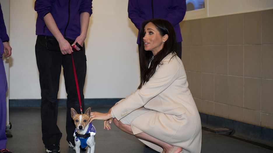 Meghan podczas odwiedzin w siedzibie Mayhew Animal Home w Londynie