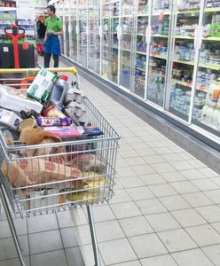 Zakupy z dostawą do domu. Nowa firma wchodzi na polski rynek