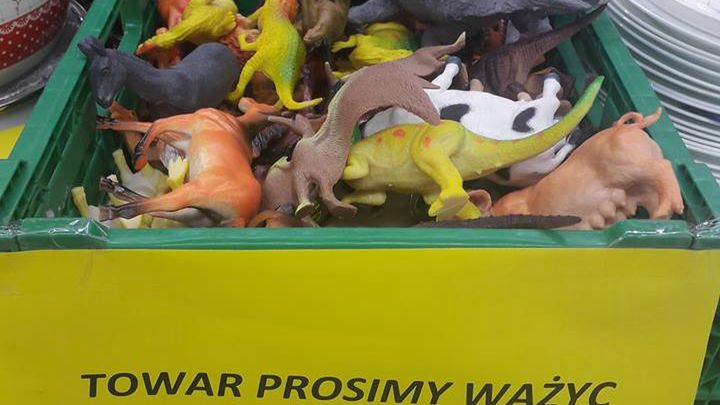 Taka nietypowa zasada obowiązuje w sklepie w Toruniu