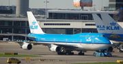 5-miesięczny pies zmarł w trakcie lotu. Podróżował z Amsterdamu do Los Angeles