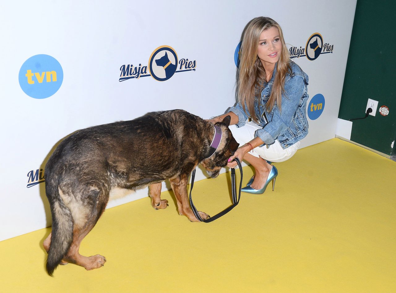 ABC psiej adopcji. Joanna Krupa o miłości do psiaków