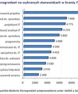 Najlepiej opłacane stanowiska w branży IT