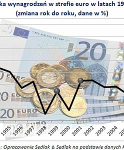 Przyjęcie euro: będą podwyżki wynagrodzeń?