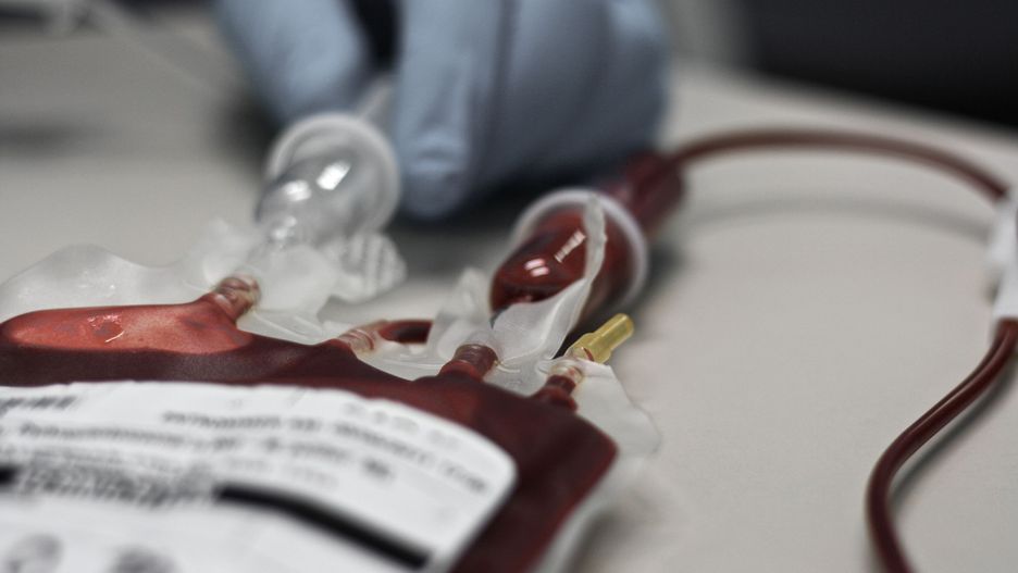 Doktor Karmazin przetacza krew osób w wieku 16-25 lat