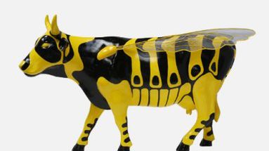 Jedna z praskich krów