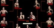 Krew na ringu MMA