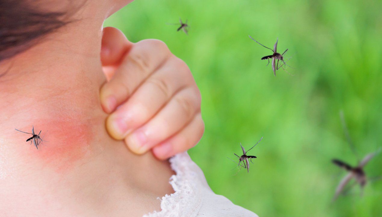 jaką grupę krwi komary lubią najbardziej, fot. gettyimages