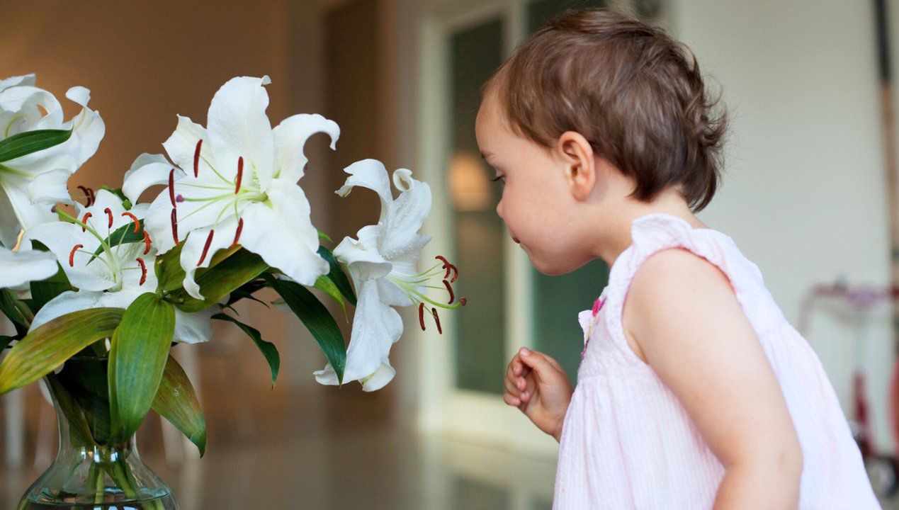rośliny niebezpieczne dla dzieci, fot. Getty Images