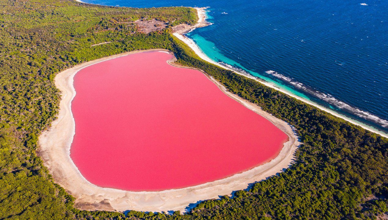 różowe jezioro, fot. Getty Images