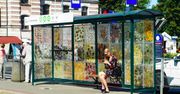 Kwiatowy przystanek w zamian za reklamy i graffiti. Łódź po raz kolejny zaskakuje