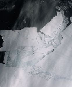 Na Południu coraz cieplej. Góra lodowa wielkości Krakowa oderwała się od Antarktydy