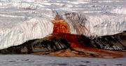 Antarktyda. Naukowcy odkryli, czym jest "krew lodowca", ale region skrywa więcej sekretów