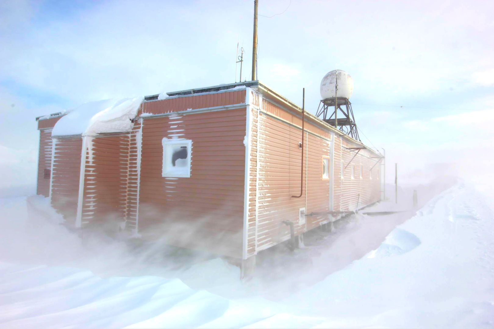 Dramat na Antarktydzie. Rosjanin oskarżony o próbę zabójstwa