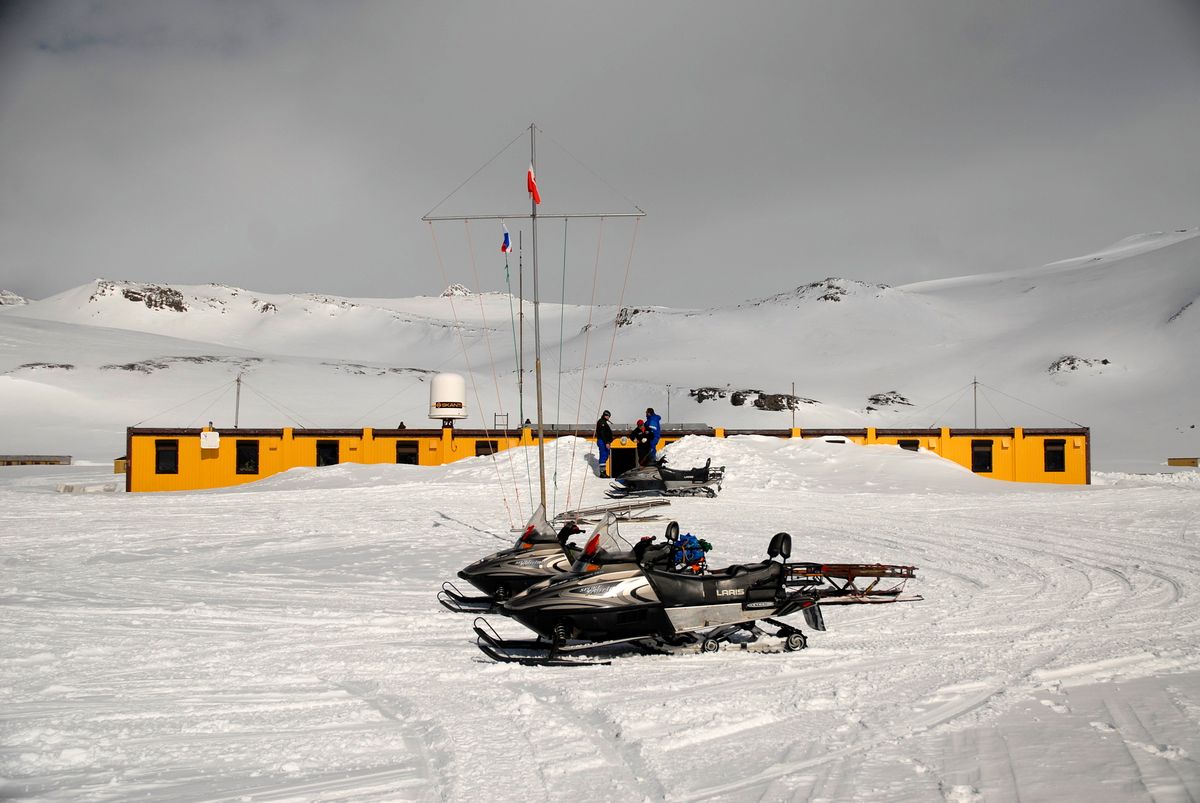 Jest praca dla Polaków na Antarktyce. Stacja szuka kilkunastu osób