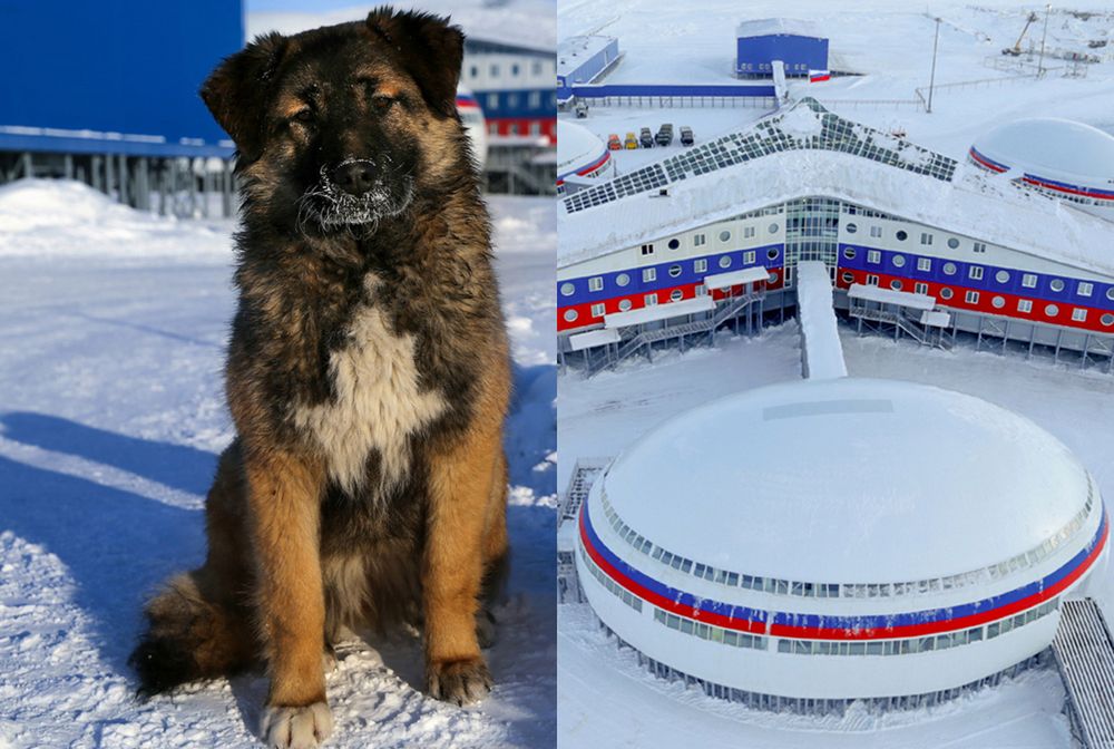 To była tajemnica. Rosjanie pokazali, czym bronią Arktyki