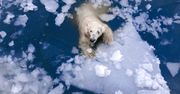 Topniejący lód w Arktyce niesie za sobą większe zagrożenia, niż sądzono