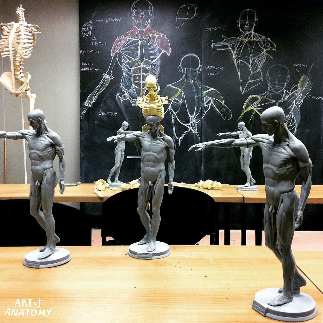 art.of.anatomy/Instagram