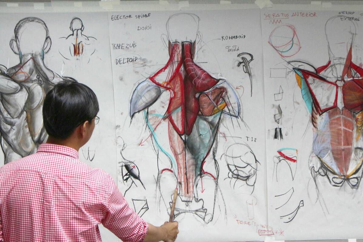 ART of Anatomy/Facebook