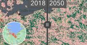 Coraz mniej zieleni, rozrost miast. Ta mapa pokazuje Polskę w 2050 roku