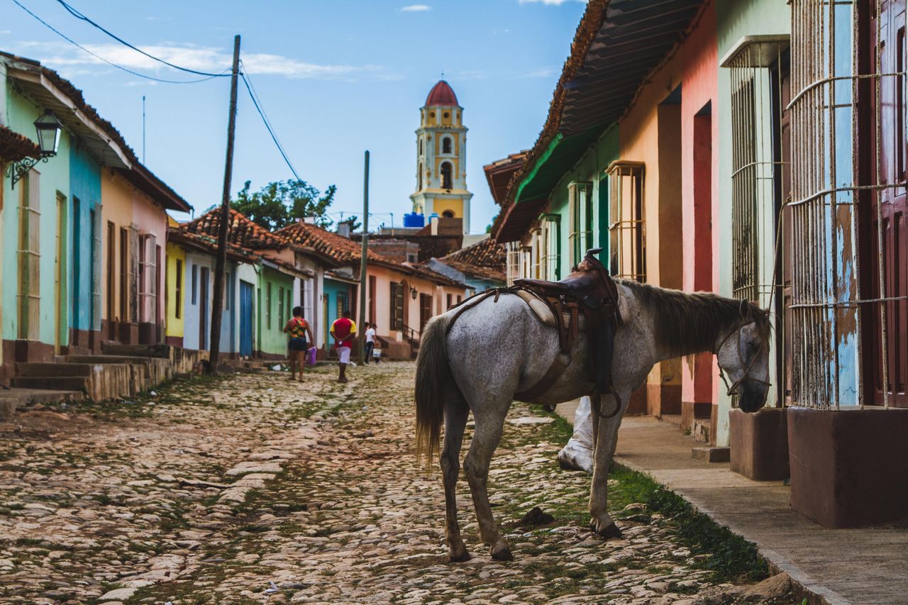 Ktoś trzyma mnie za pasek od spodni. I tak jedziemy