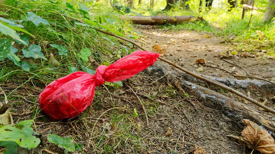 Monotlenek diwodoru sposobem na walkę z nieuczciwymi właścicielami psów.
