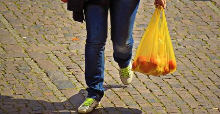 Kochasz przyrodę? Oto twoje postanowienia noworoczne
