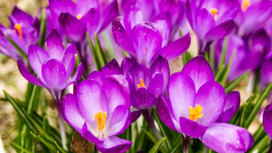 Prognoza pogody na dziś - niedziela 17 marca. Jaka będzie dziś pogoda w Warszawie, Krakowie, Wrocławiu i Gdańsku?