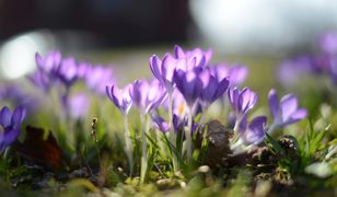 Leo i Isabeau "zakręcą" powietrzem nad Polską. Prognoza na weekend