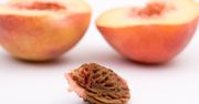 Jak pozbyć się pestek z brzoskwiń? Poznaj prosty i szybki sposób