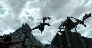 W Skyrim będziemy mogli nasłać smoka na innego smoka