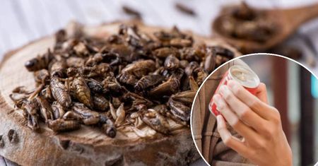 Łatwo rozpoznasz dodatek owadów w produkcie. Koniecznie zwróć uwagę na jedno