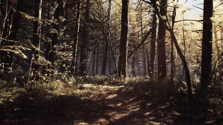 Spacerek po lesie – nowy zwiastun Blair Witch