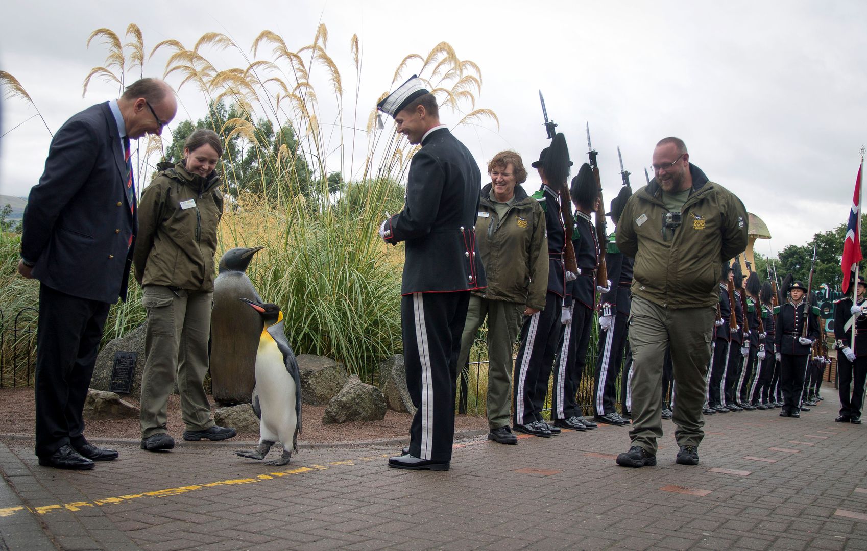 Pingwin w Gwardii Królewskiej