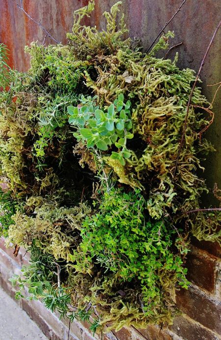 Herb Wreath