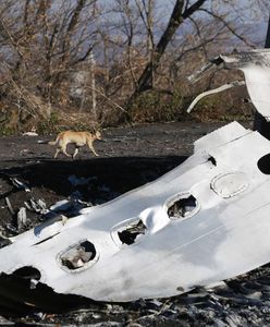 Katastrofa MH17 na Ukrainie: śledczy zidentyfikowali mężczyzn, którzy zestrzelili malezyjską maszynę