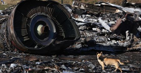 Katastrofa MH17. Ważny świadek przekazany Rosji. Holandia wystąpiła o ekstradycję
