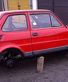 Parking dla psów i nie tylko