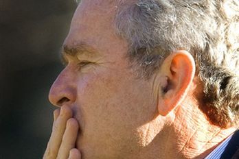 Bush ogłosił walkę z Al-Kaidą do zwycięstwa