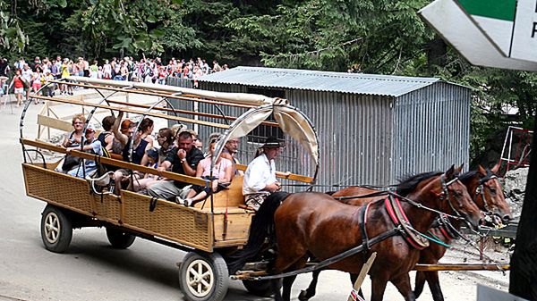 Wozy konne przewożące turystów do Morskiego Oka