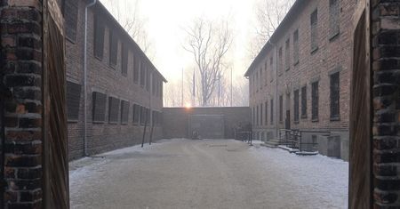 Wpływowy rabin chce usunąć kościół z Auschwitz. Krajewski: To nie jest tak ważne